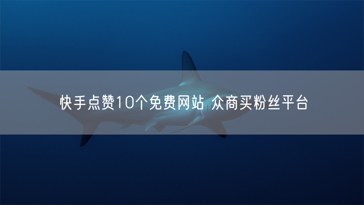 快手点赞10个免费网站 众商买粉丝平台