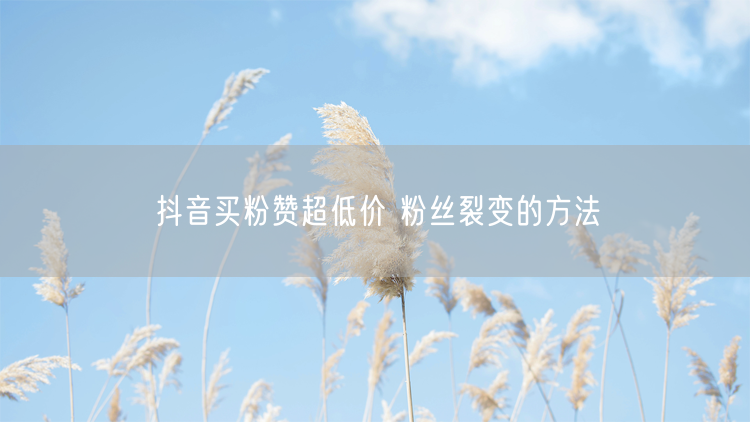 抖音买粉赞超低价 粉丝裂变的方法