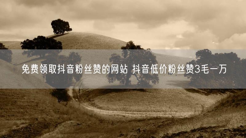 免费领取抖音粉丝赞的网站 抖音低价粉丝赞3毛一万