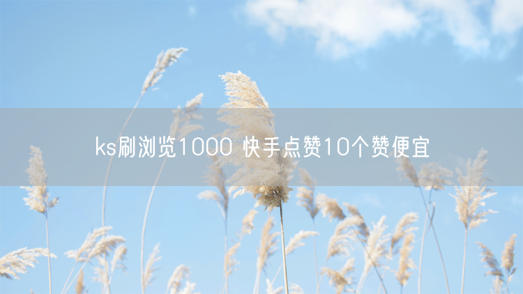ks刷浏览1000 快手点赞10个赞便宜