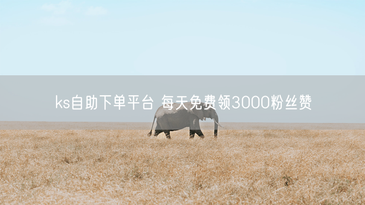 ks自助下单平台 每天免费领3000粉丝赞