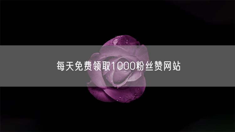 每天免费领取1000粉丝赞网站