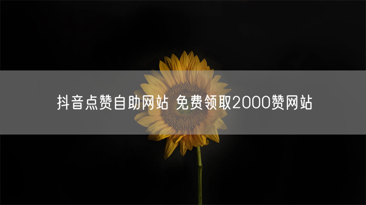 抖音点赞自助网站 免费领取2000赞网站
